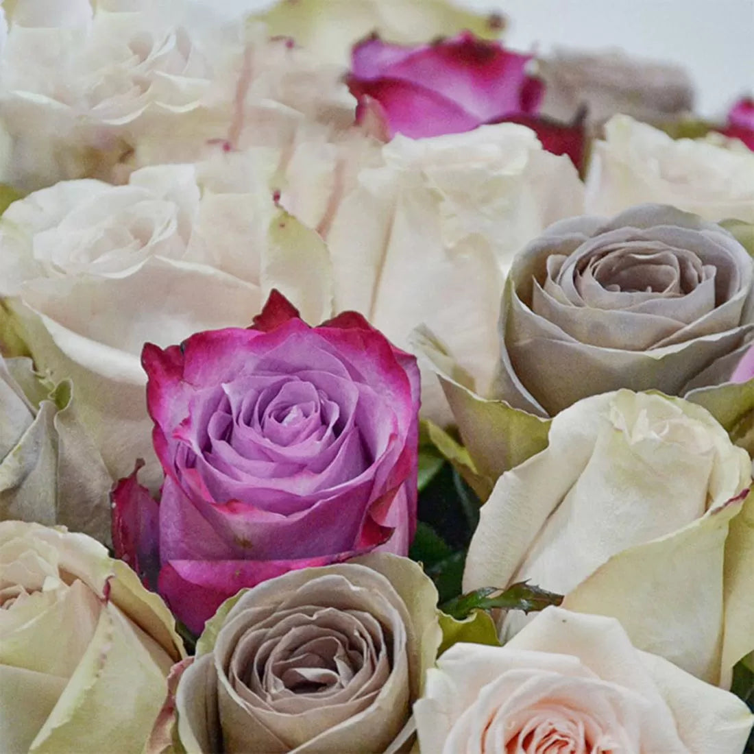 Cafe au Lait Bouquet