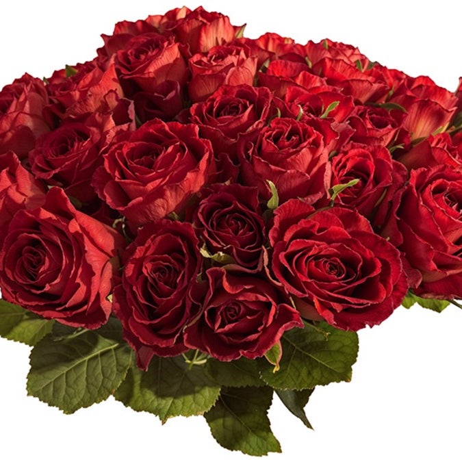 24 Hand-Tied Red Roses Bouquet