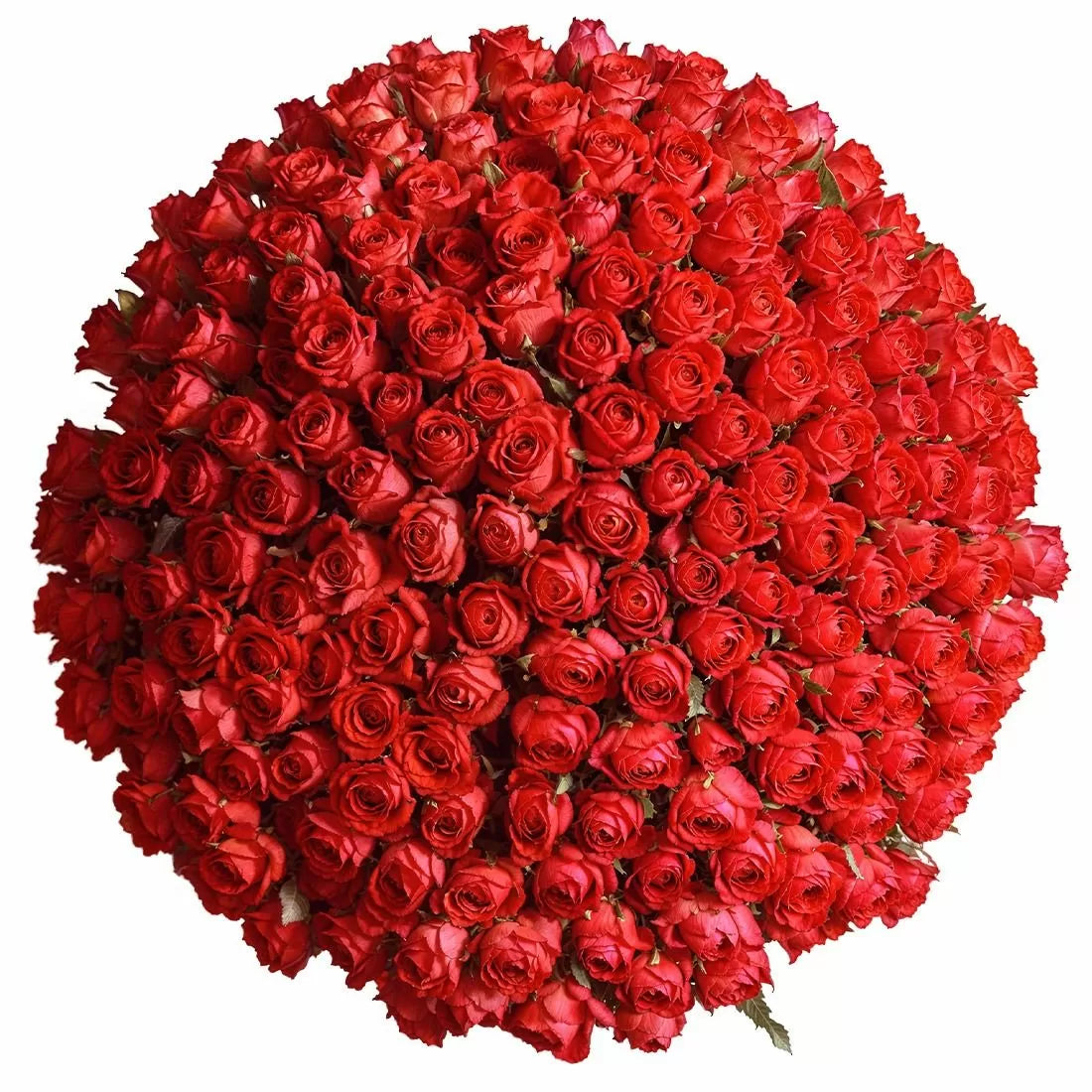 200 Luxury Red Roses