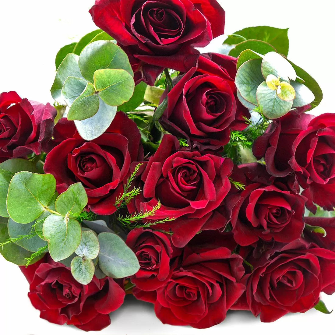 12 Luxury Red Roses