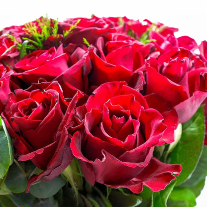 24 Luxury Red Roses