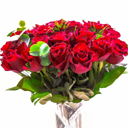24 Luxury Red Roses
