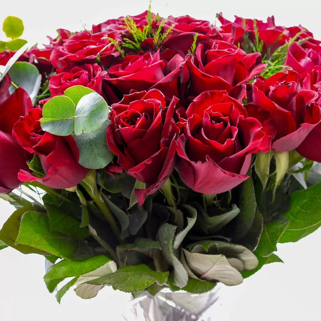 50 Luxury Red Roses