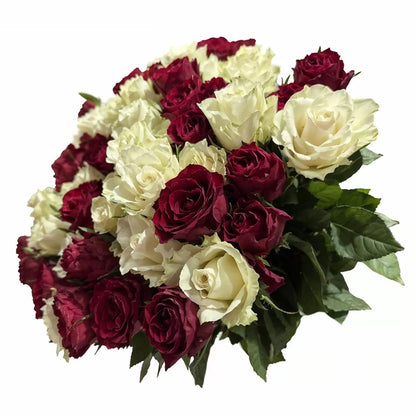 101 Luxury Red and White Roses