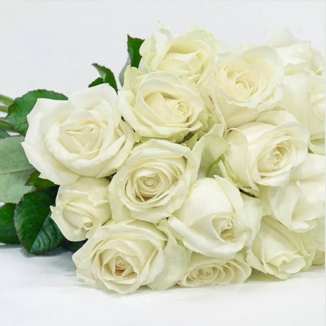 Morning Star Bouquet