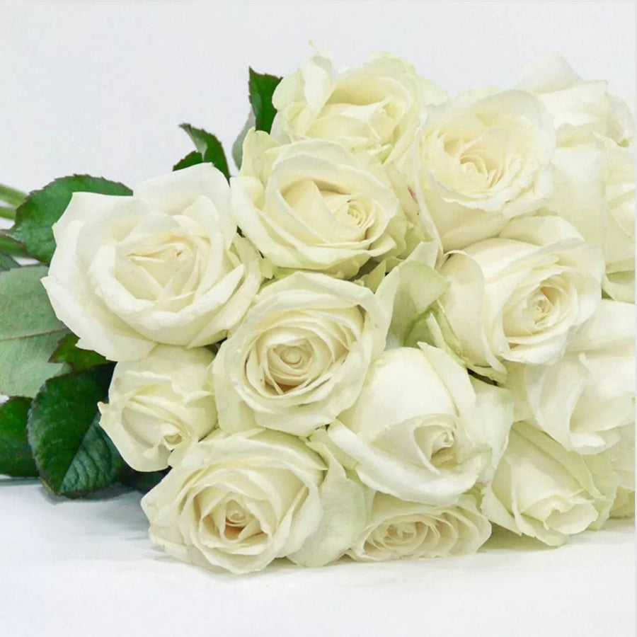 Morning Star Bouquet