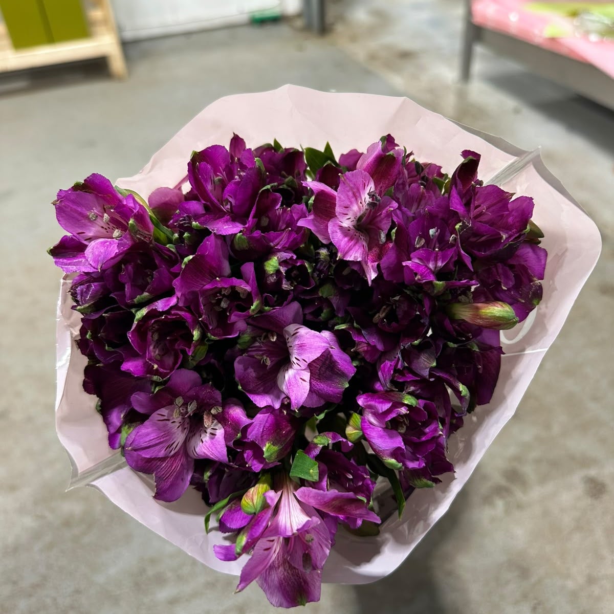 Qualisa Alstro Purple Flowers Large Bunch