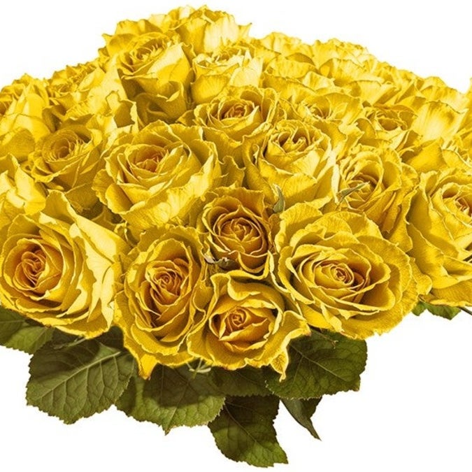 24 Hand-Tied Yellow Roses Bouquet