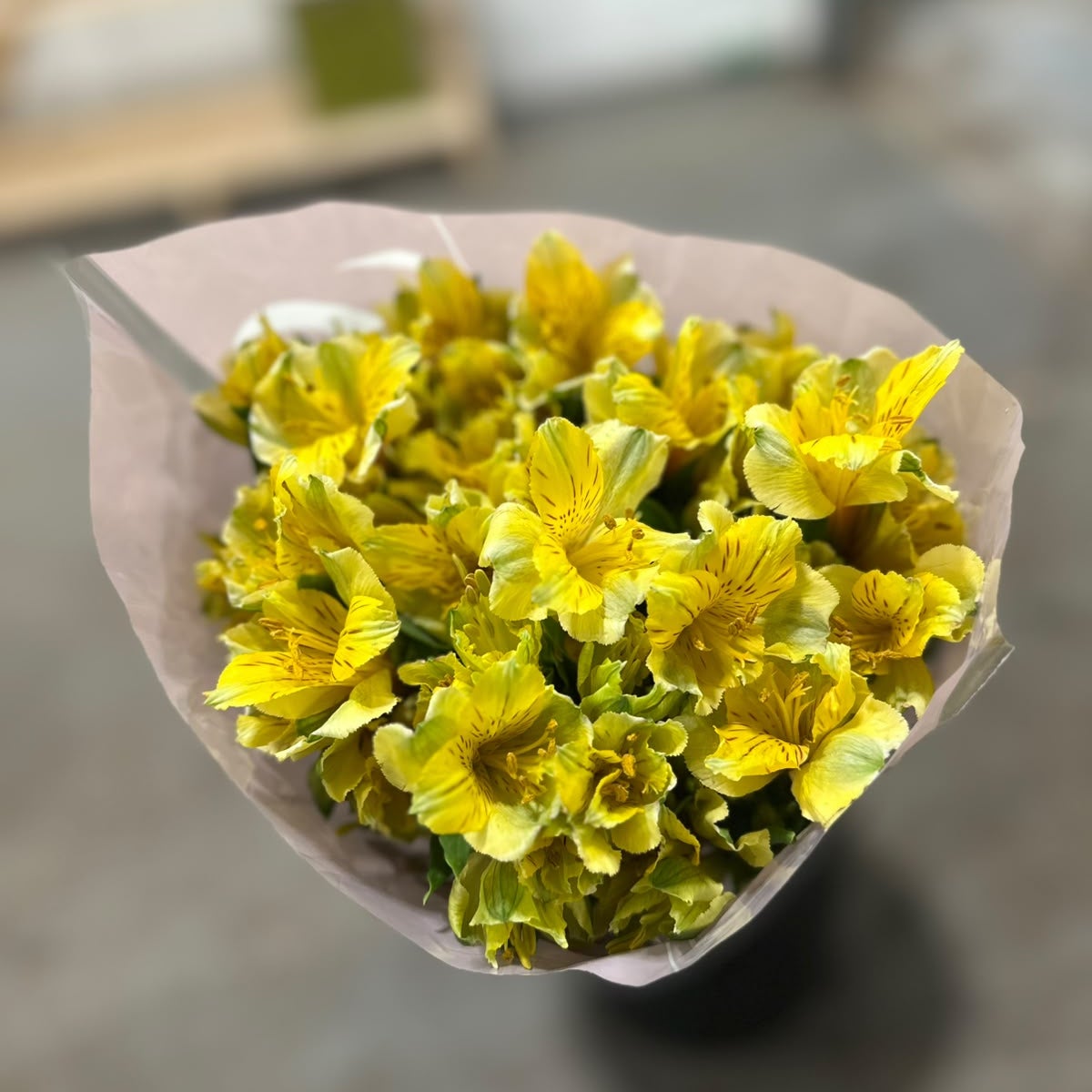 Qualisa Alstro Yellow Flowers Large Bunch
