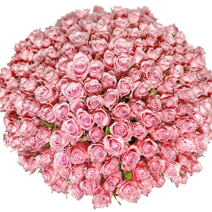 200 Hand-Tied Pink Roses Bouquet