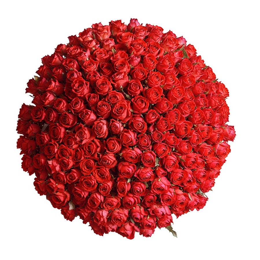 200 Hand-Tied Red Roses Bouquet