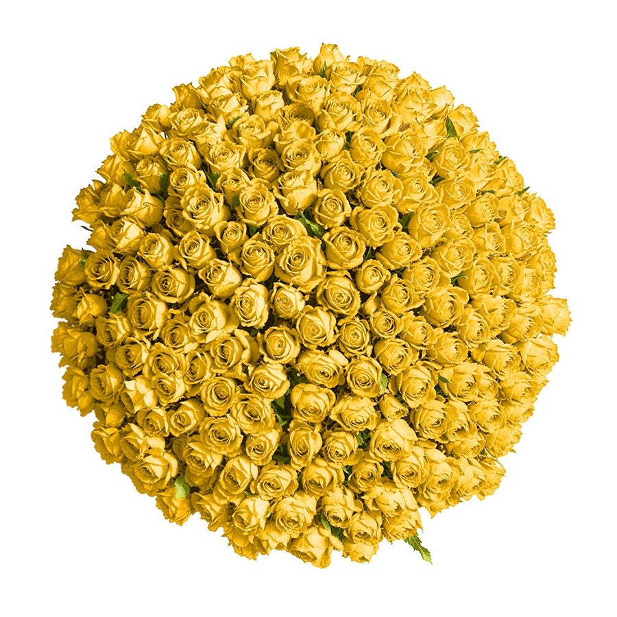200 Hand-Tied Yellow Roses Bouquet