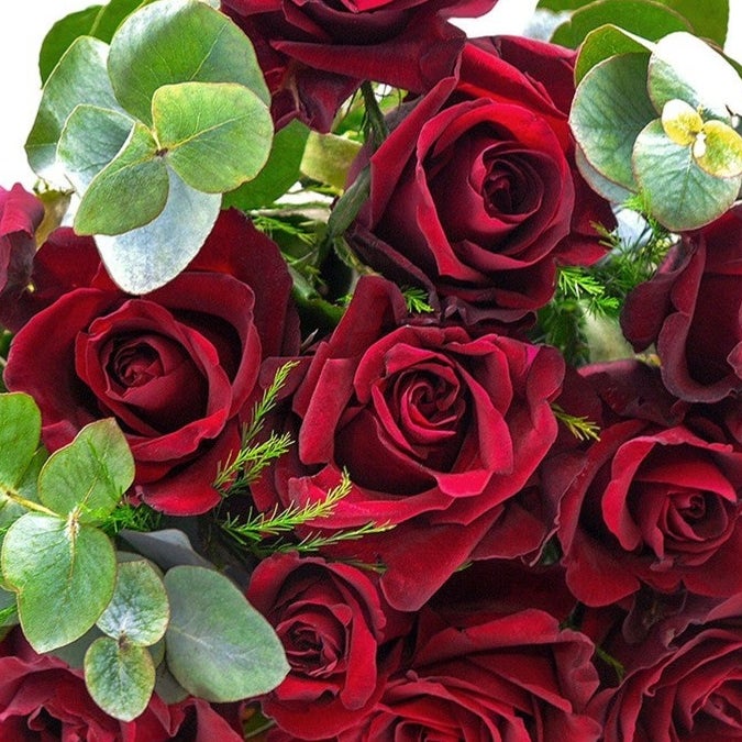 12 Hand-Tied Red Roses Bouquet