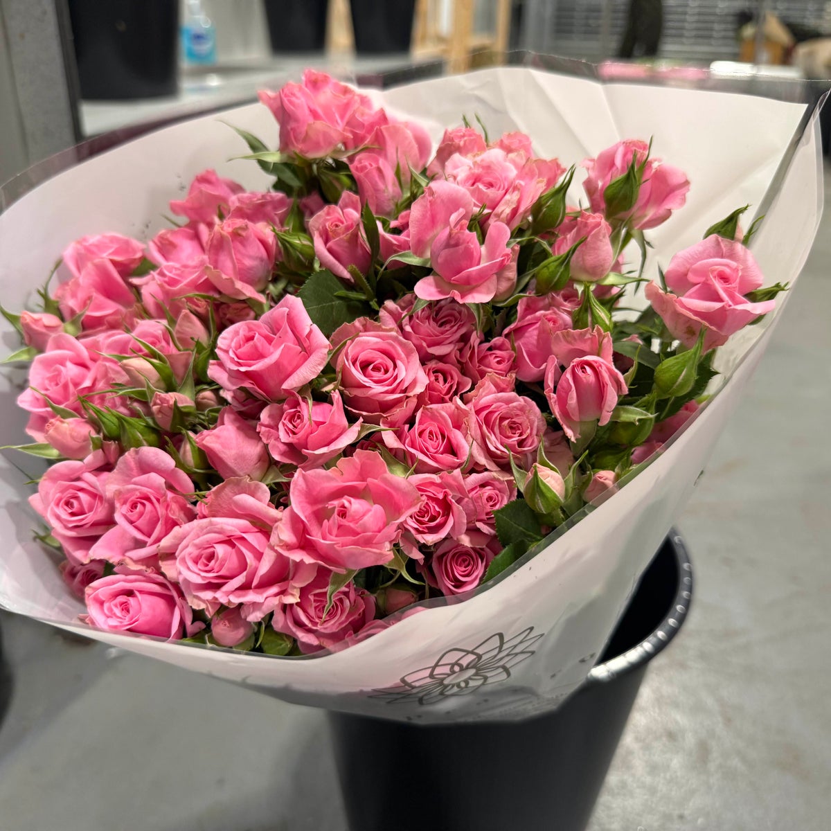 Pink Spray Roses