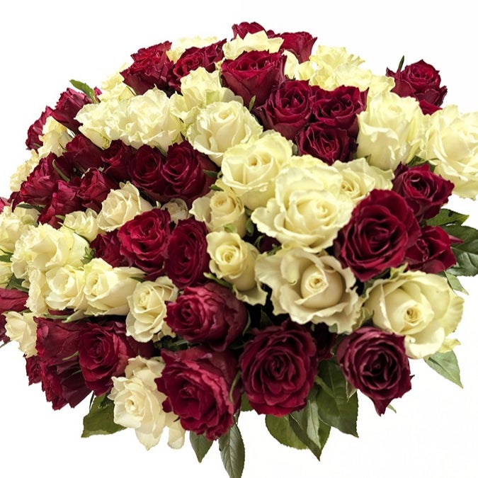 200 Hand-Tied Red and White Roses Bouquet