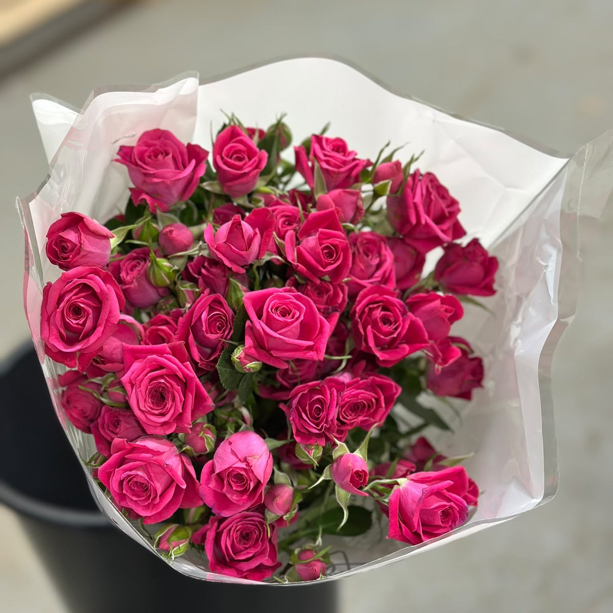 Dark Pink Spray Roses