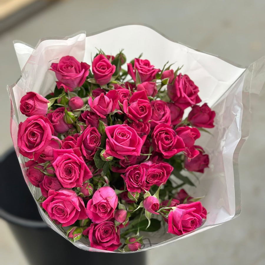 Dark Pink Spray Roses